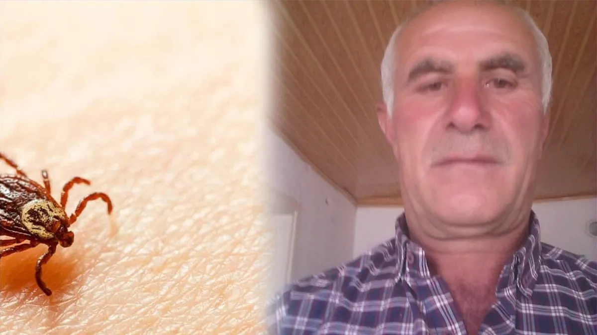 Kene ısırması sonucu yaşlı adam kurtarılamadı