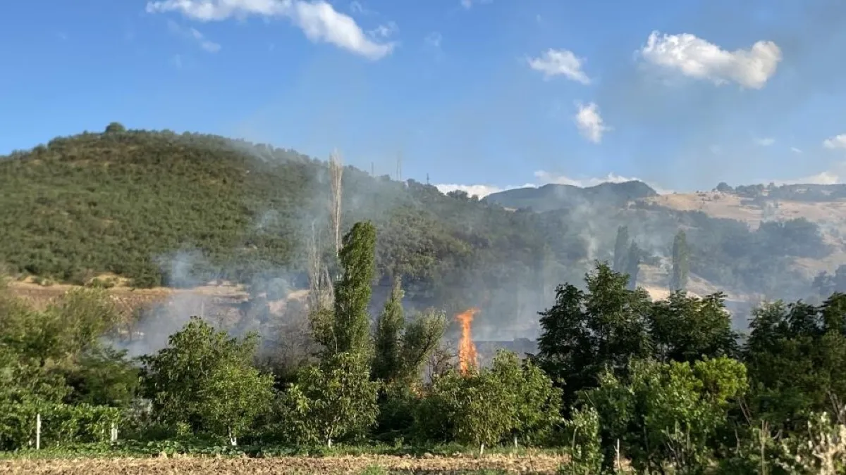 Korkutan yangın: Orman ve tarım arazileri alevlere teslim oldu