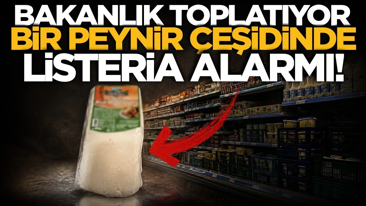 Listeria alarmı! Bir parti peynir raflardan toplatıldı