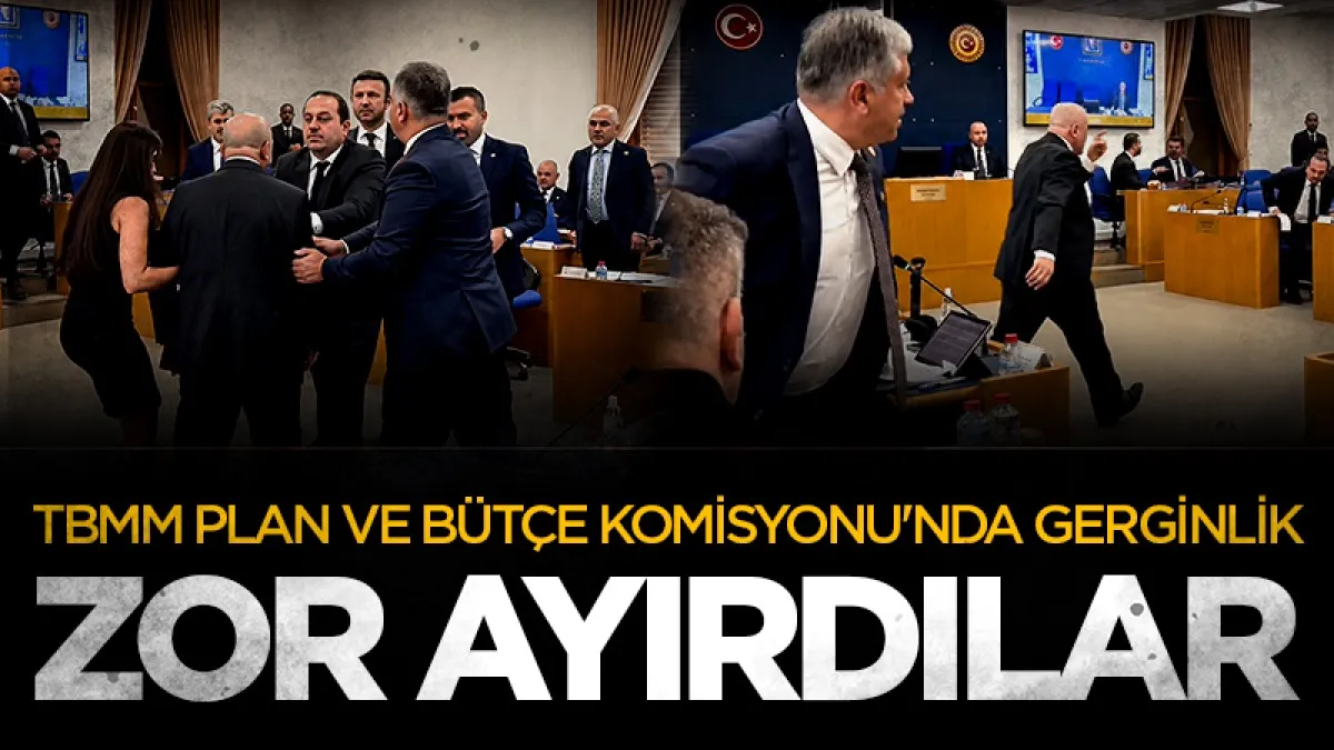 Meclis'te Erhan Usta ile AK Partili Güneş'i zor ayırdılar