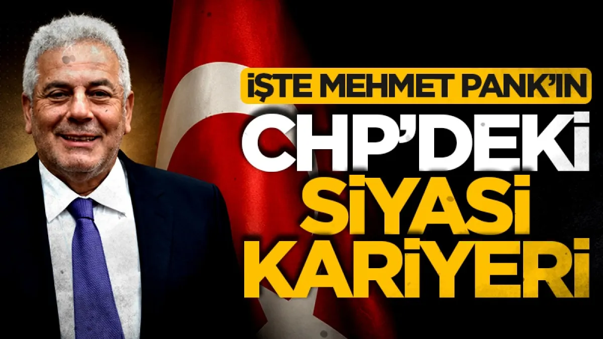 Mehmet Pank CHP Samsun Örgütü'nde hangi görevlerde ve çalışmalarda bulundu?