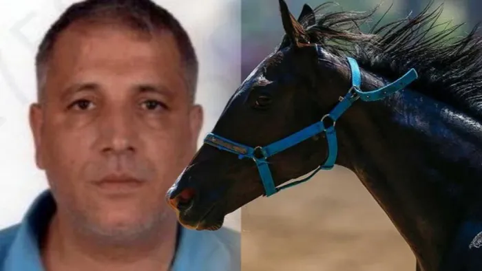 Memurun 13 yarış atı çıktı