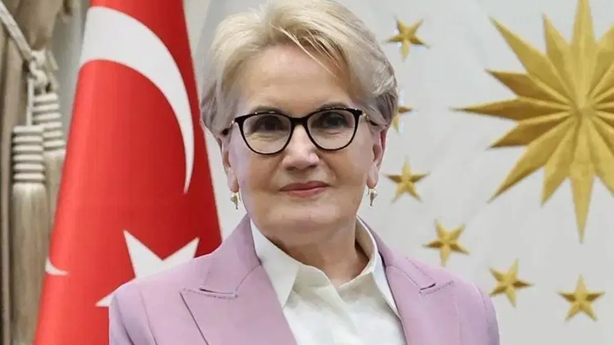 Meral Akşener Vakfı resmen kuruldu: İşte logosu ve amacı