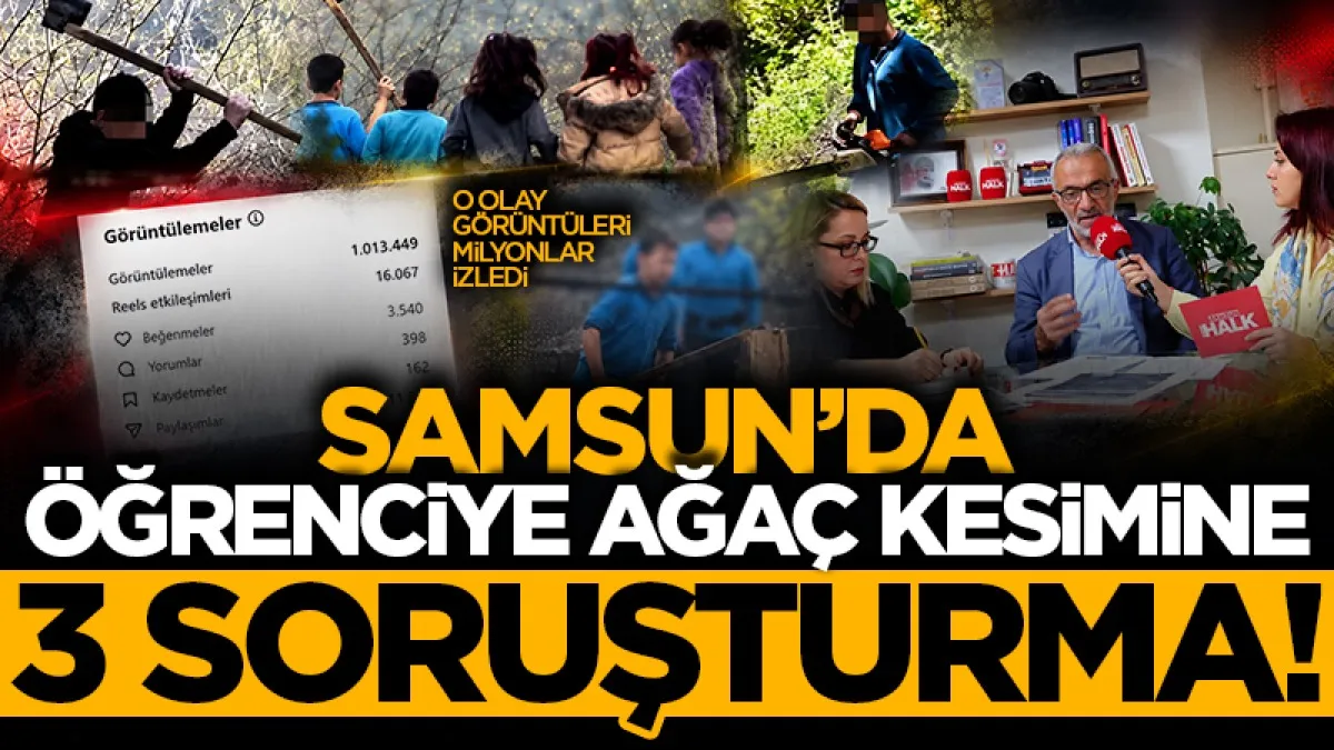 O olay görüntüleri milyonlar izledi: Samsun'da öğrenciye ağaç kesimine 3'lü soruşturma!
