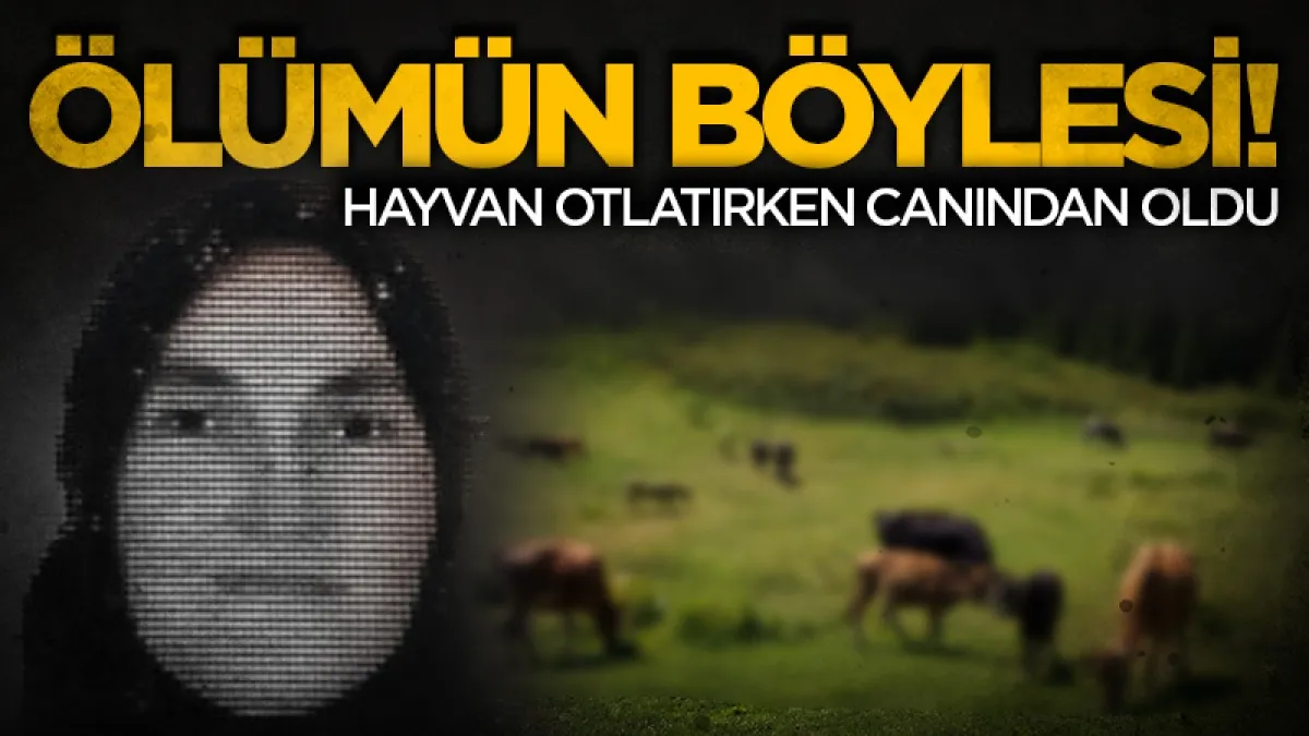 Ölümün böylesi! Hayvan otlatırken canından oldu