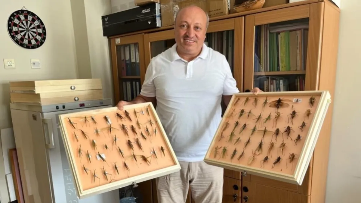 OMÜ’lü uzmandan çekirge açıklaması: 'Mevsimsel bir durum'