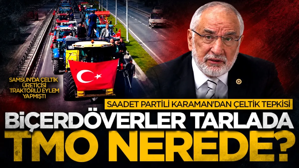 Saadet Partisi Samsun Milletvekili Mehmet Karaman'dan çeltik tepkisi: Biçerdöverler tarlarda, TMO nerede?