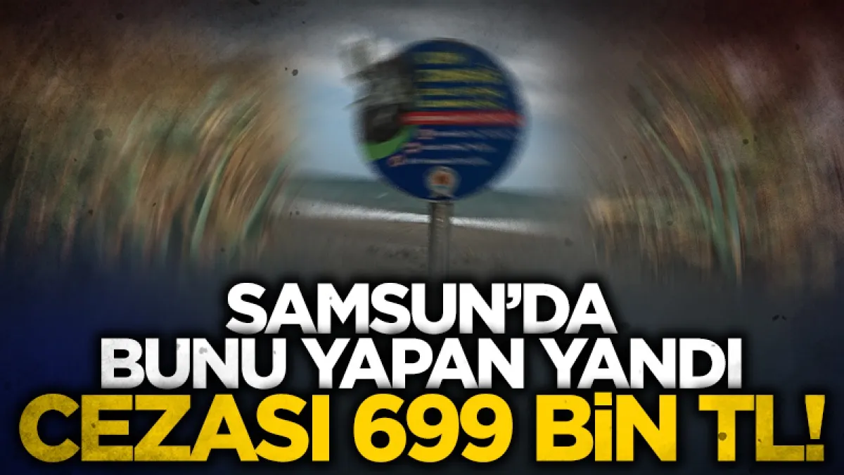 Samsun Alaçam’da kum zambakları koruma altında: Koparmanın cezası 699 bin TL