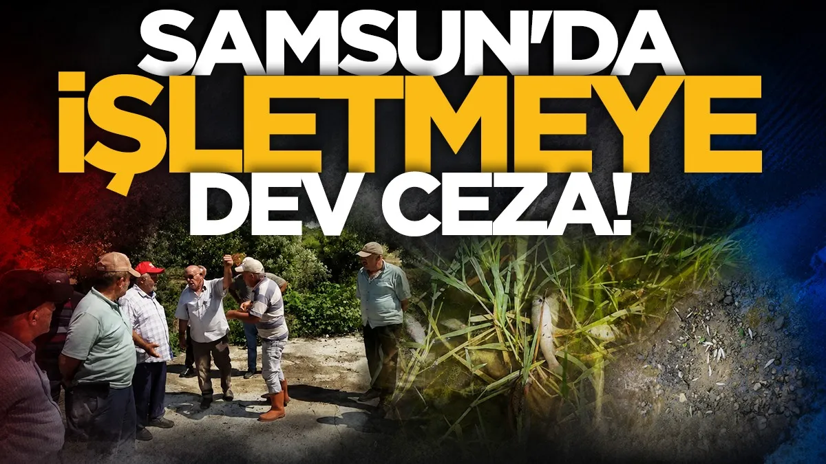 Samsun Bafra’da balık ölümlerine neden olan tesise dev ceza