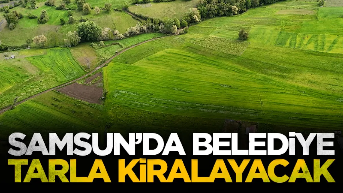 Samsun Büyükşehir Belediyesi 90 tarlayı kiralayacak