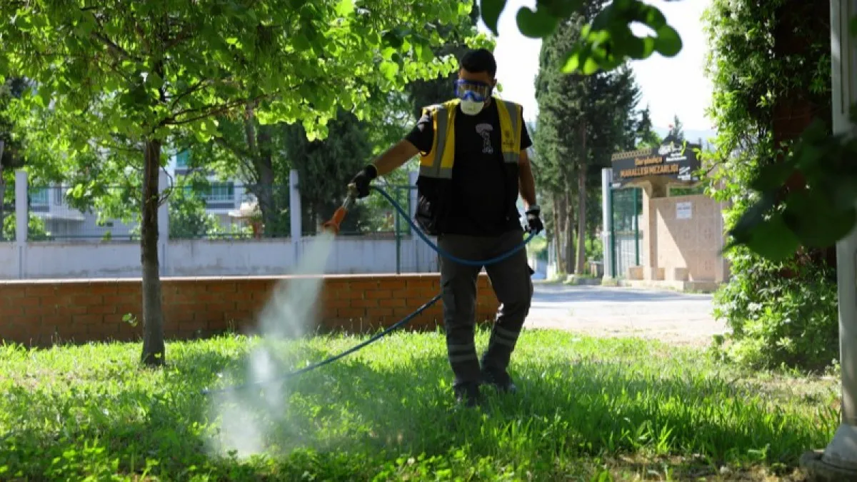 Samsun Büyükşehir'den kent genelinde yoğun ilaçlama mesaisi