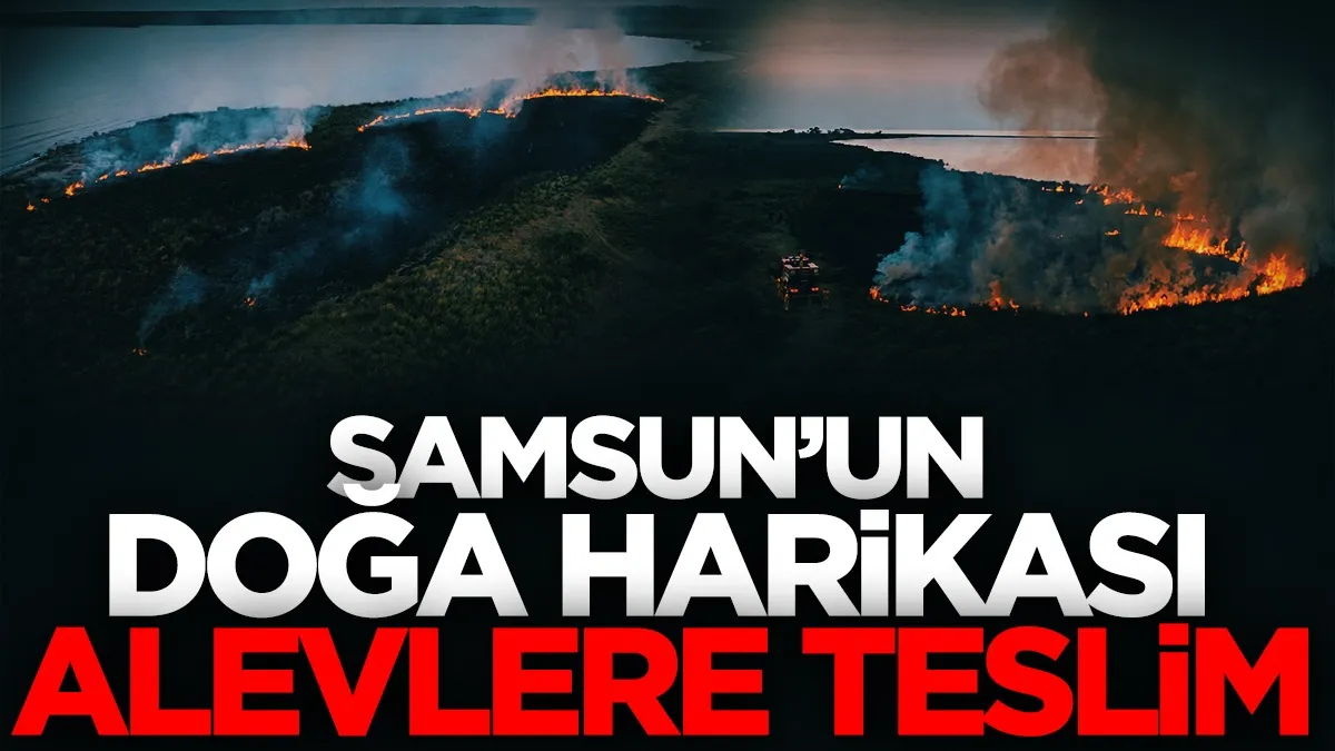 Samsun Kızılırmak Deltası Kuş Cenneti'nde yangın paniği! 20 dönüm alan zarar gördü