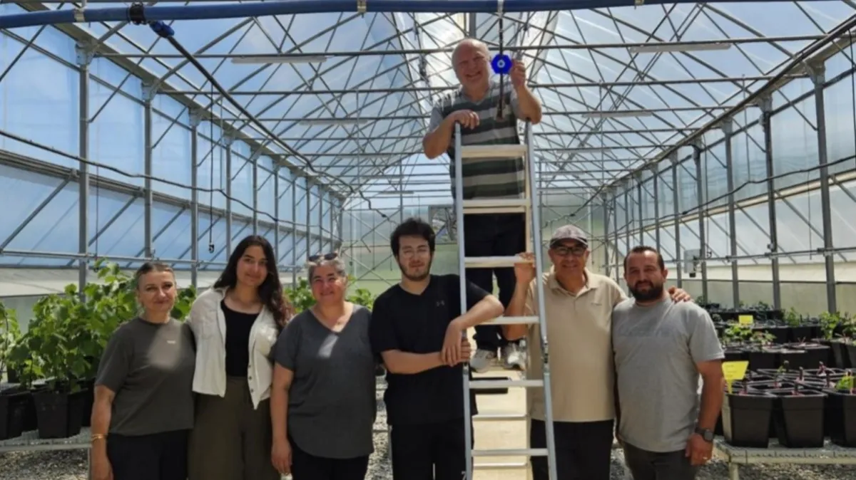 Samsun OMÜ'de trüf fidanlarına dronla gölgelendirme jeli