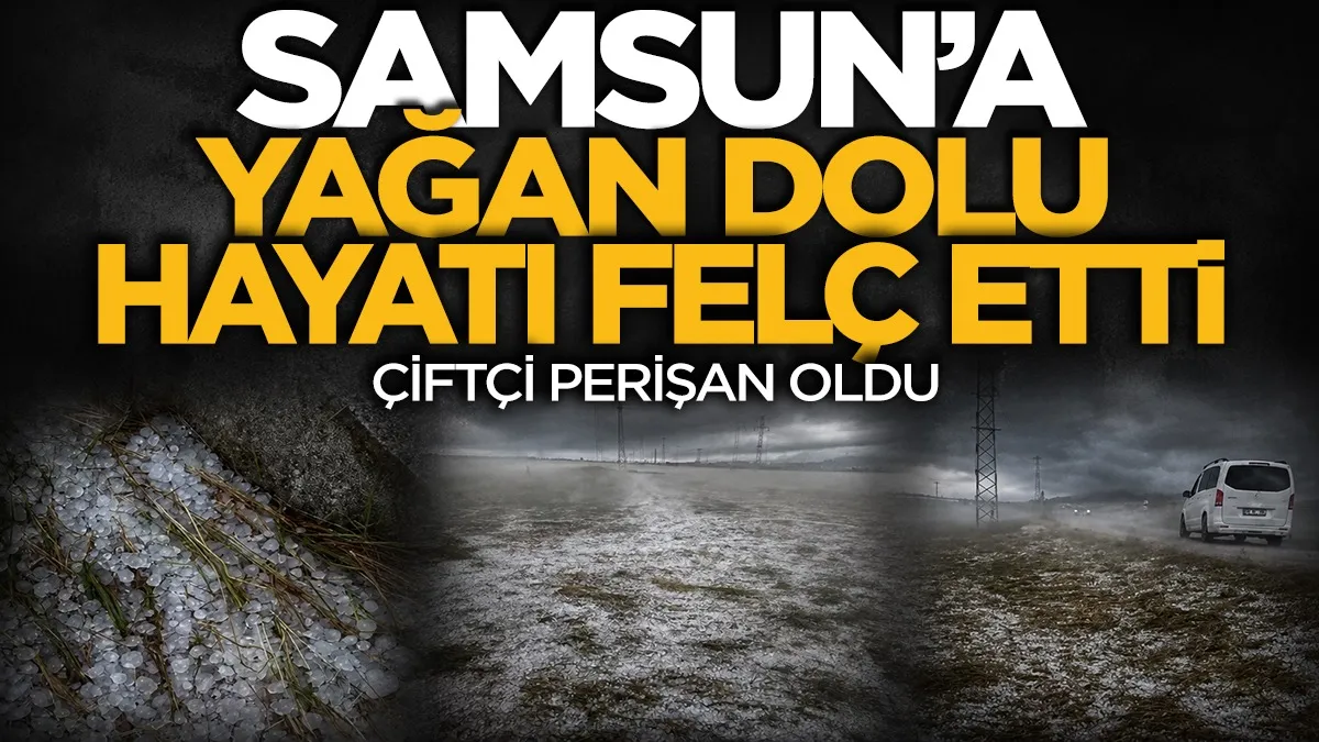Samsun'a yağan dolu hayatı felç etti: Çiftçi perişan oldu