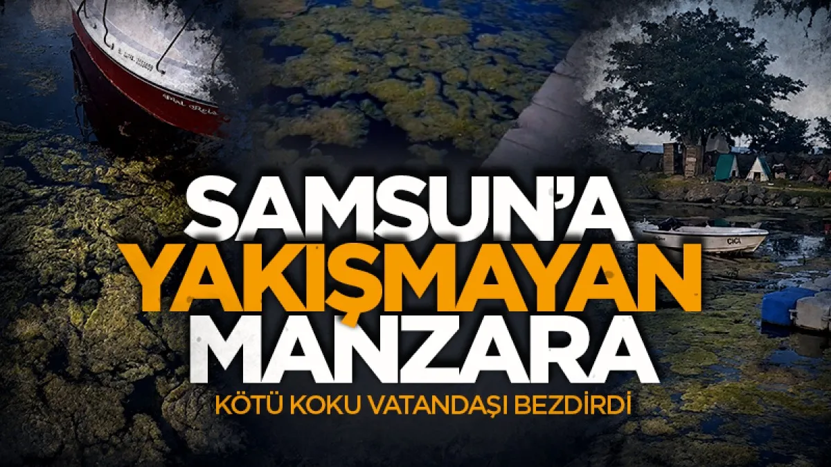 Samsun'a yakışmayan manzara: Kötü koku vatandaşı bezdirdi