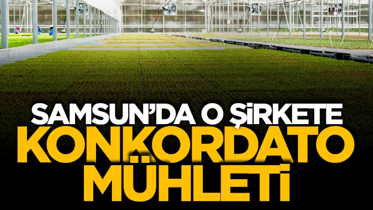 Samsun'da Agropark’a geçici konkordato mühleti
