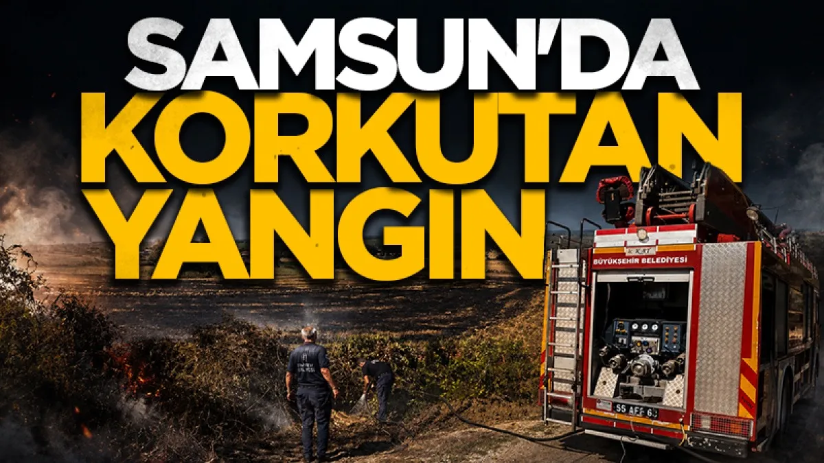 Samsun'da arazi yangını korkuttu