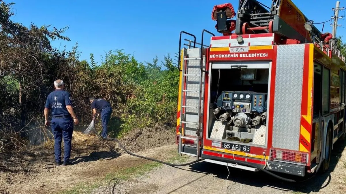 Samsun'da arazi yangını korkuttu