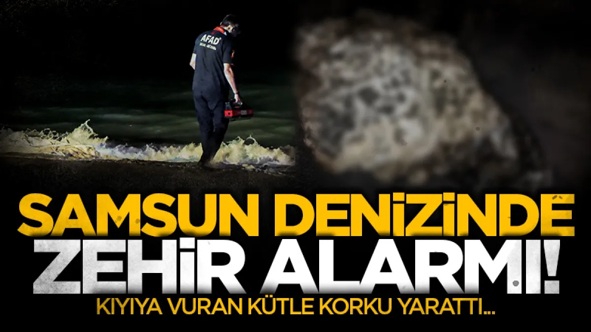 Samsun denizinde zehir alarmı! Kıyıya vuran kütle korku yarattı...