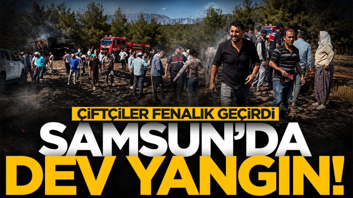 Samsun'da tarlaları gözlerinin önünde yandı, fenalık geçirdiler