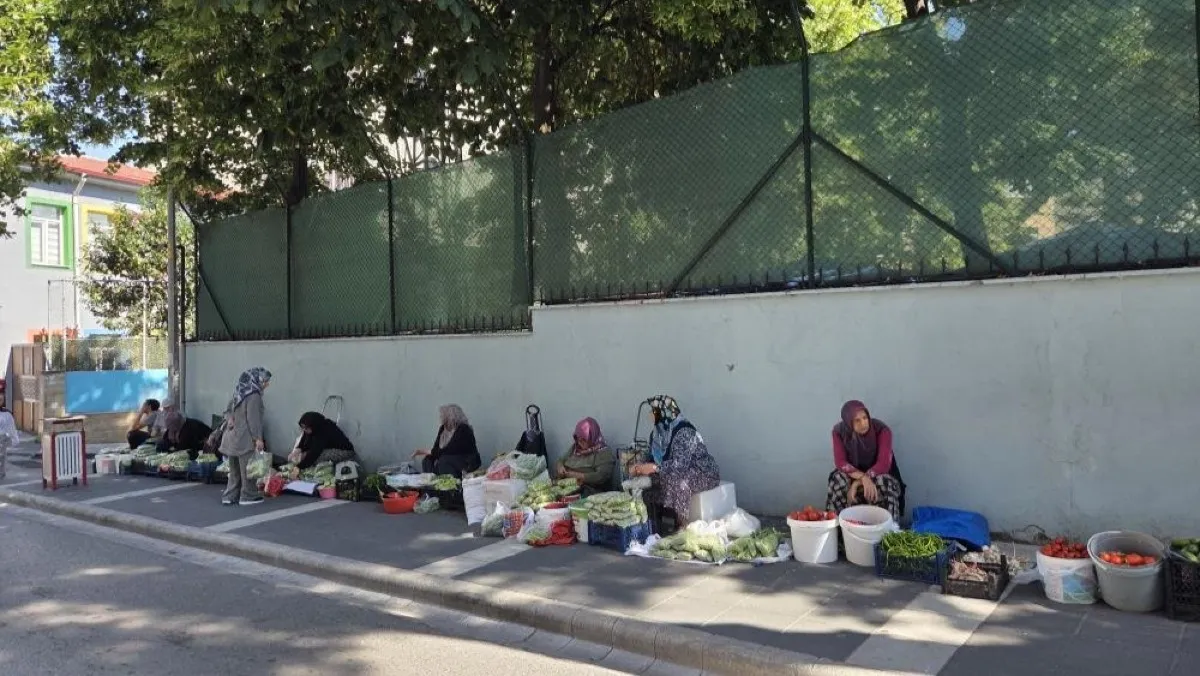 Samsun'da boyu küçüldükçe fiyatı artıyor