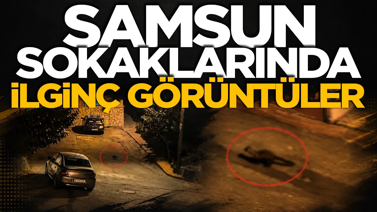 Samsun'da bu mahallede geceleri geziyorlar