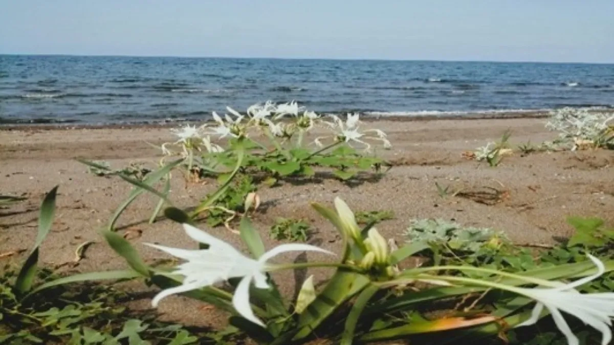 Samsun’da Çevre Kanunu’nu ihlal eden kişiye dev ceza