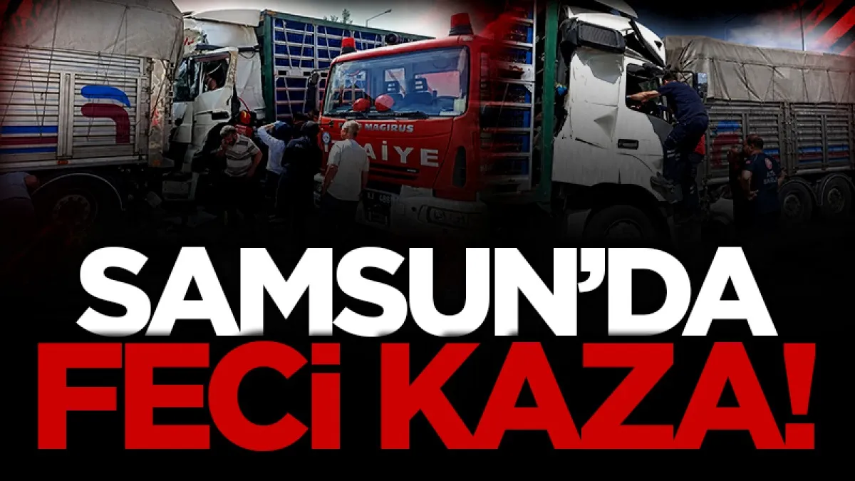 Samsun'da feci kaza: Tavuk yüklü tır kamyonla çarpıştı