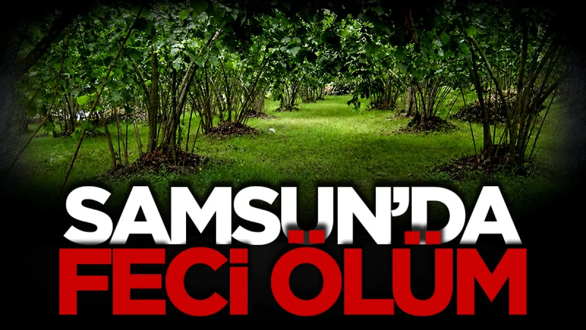 Samsun'da feci ölüm: Fındık bahçesinde yanmış olarak bulundu