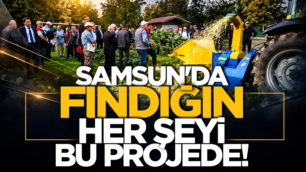 Samsun'da fındığın her şeyi bu projede
