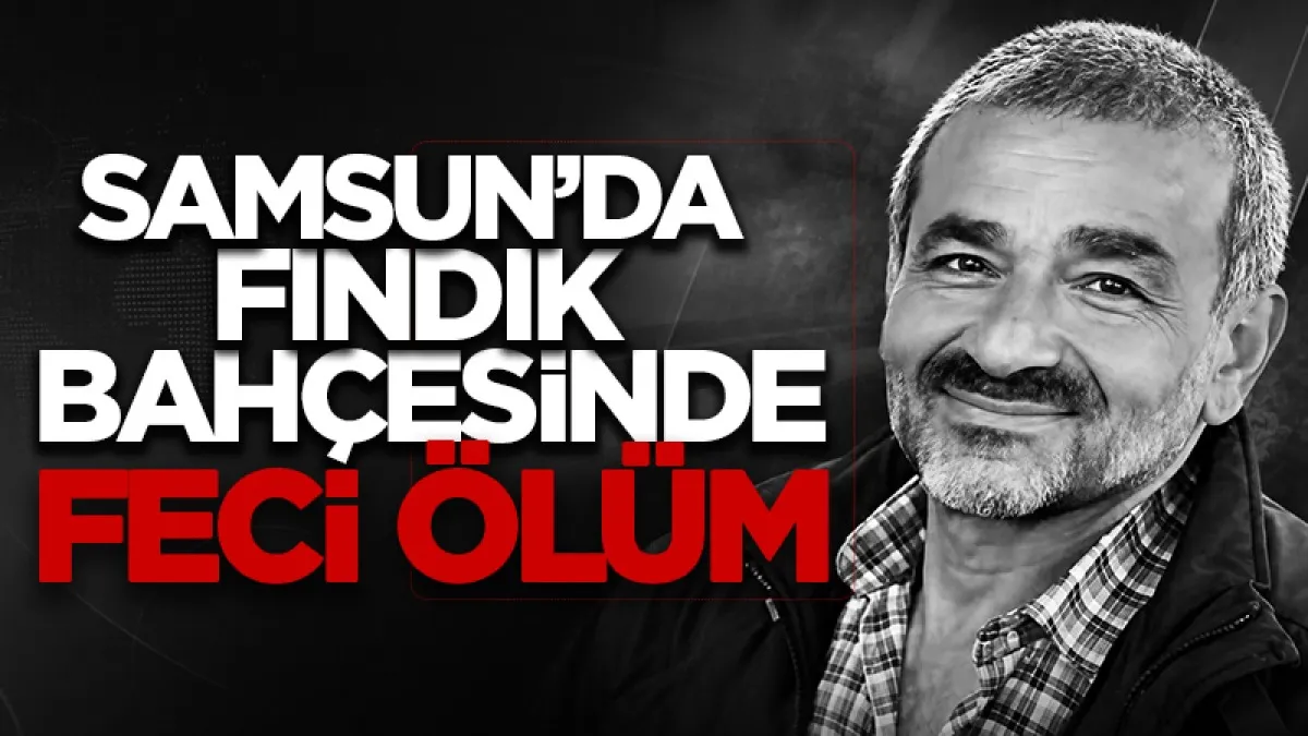 Samsun’da fındık bahçesinde feci ölüm