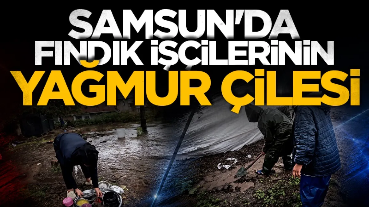 Samsun'da fındık işçilerinin yağmur çilesi