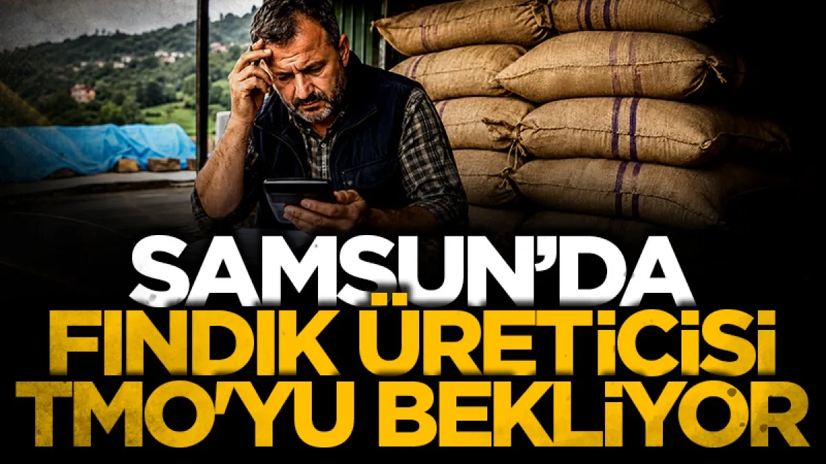 Samsun'da fındık üreticisi TMO'yu bekliyor