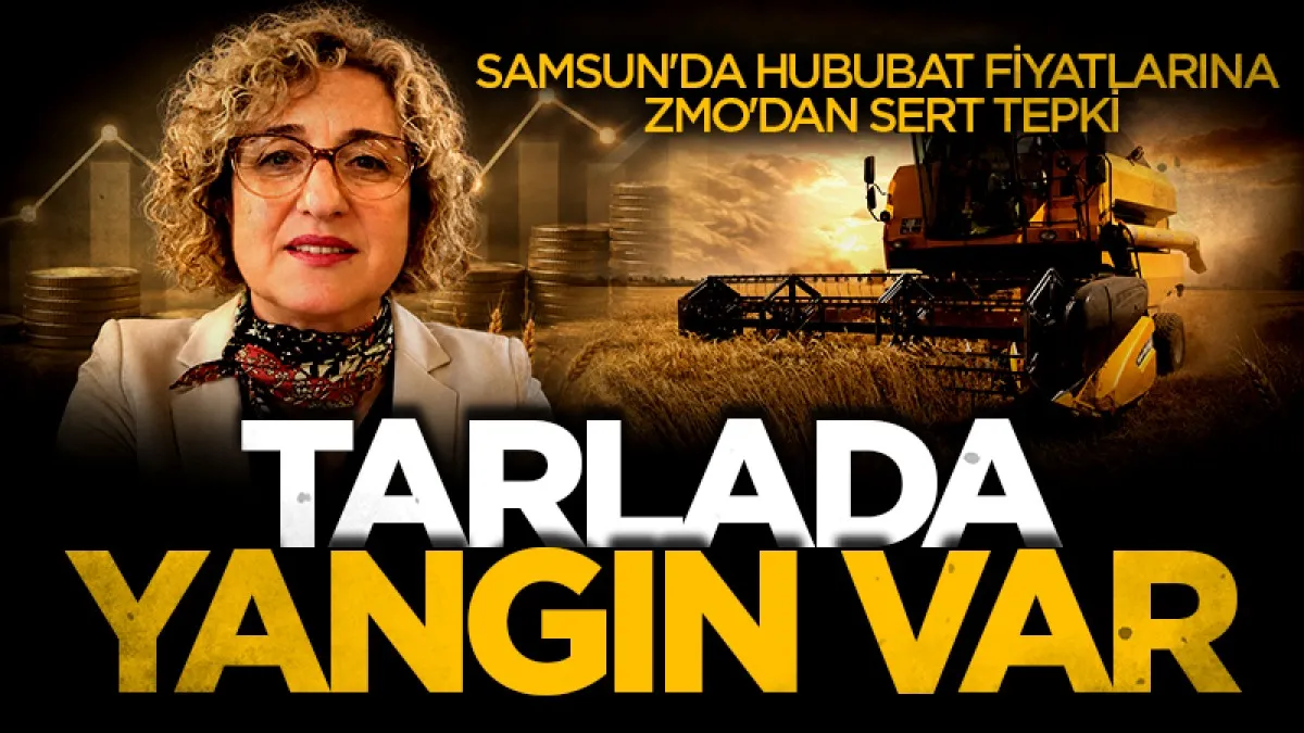 Samsun'da hububat fiyatlarına ZMO'dan sert tepki Tarlada yangın var