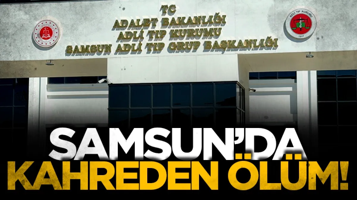 Samsun'da Ihlamur ağacından düşen yaşlı adam hayatını kaybetti