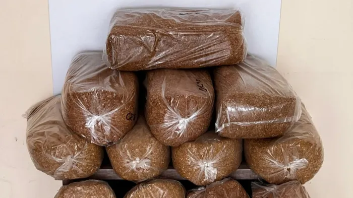 Samsun'da kaçak tütün operasyonu: 10'larca kilo ele geçirildi