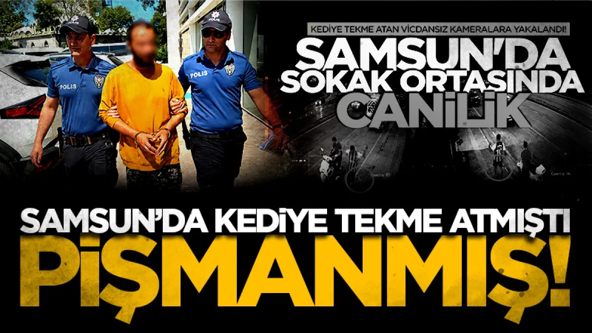 Samsun'da kediye tekme atan şahıs tutuklandı: "Sinirliydim, pişmanım"