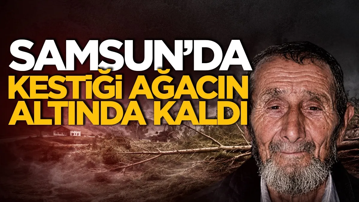 Samsun’da kestiği ağacın altında kalan kişi hayatını kaybetti