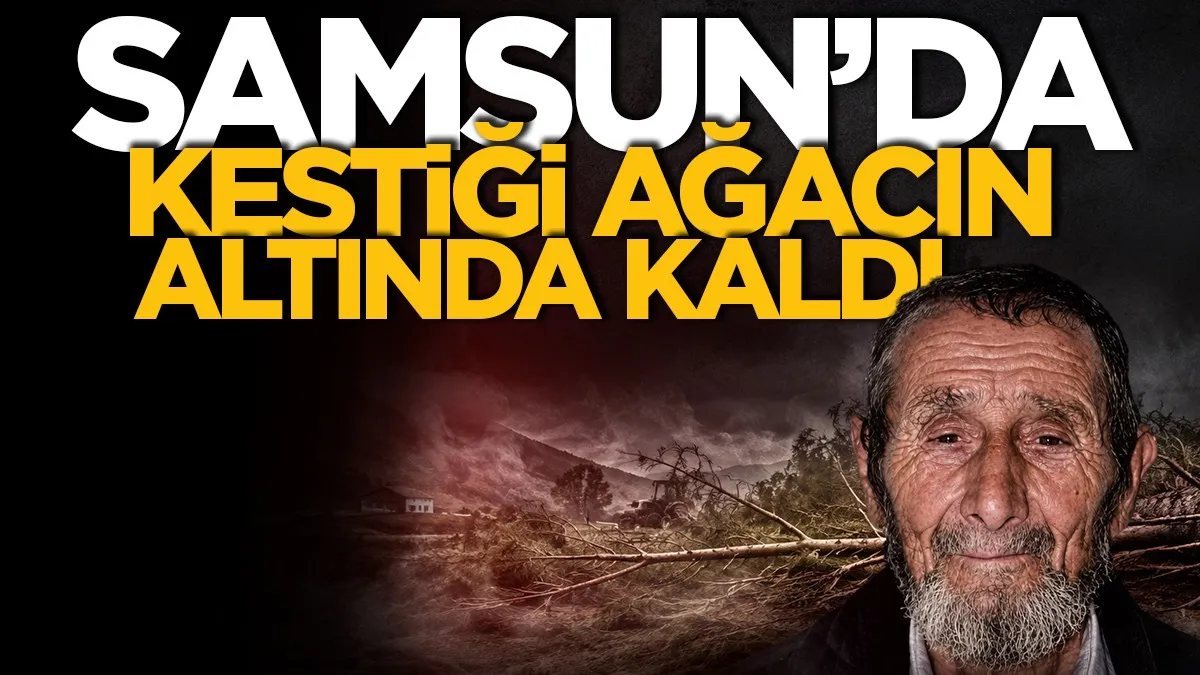 Samsun’da kestiği ağacın altında kalan kişi hayatını kaybetti
