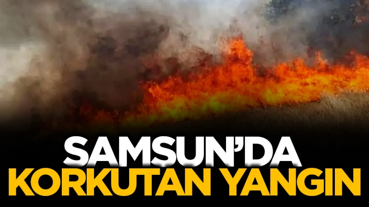 Samsun'da korkutan yangın: Ekipler seferber oldu