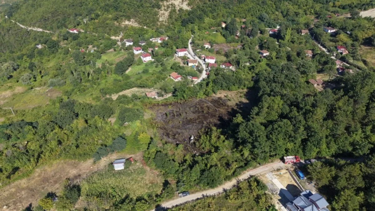 Samsun'da korkutan yangın: Ormana sıçramadan durduruldu