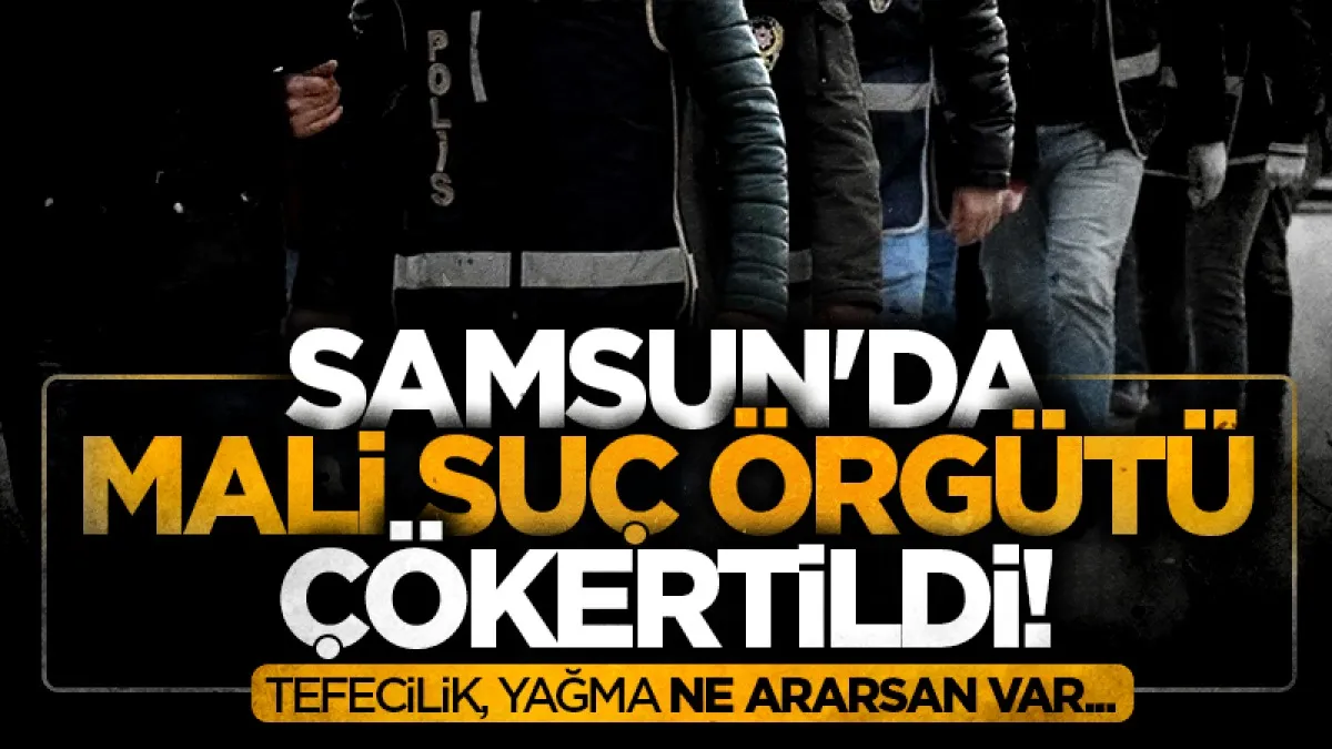 Samsun'da mali suç örgütüne darbe: Çok sayıda zanlı yakalandı