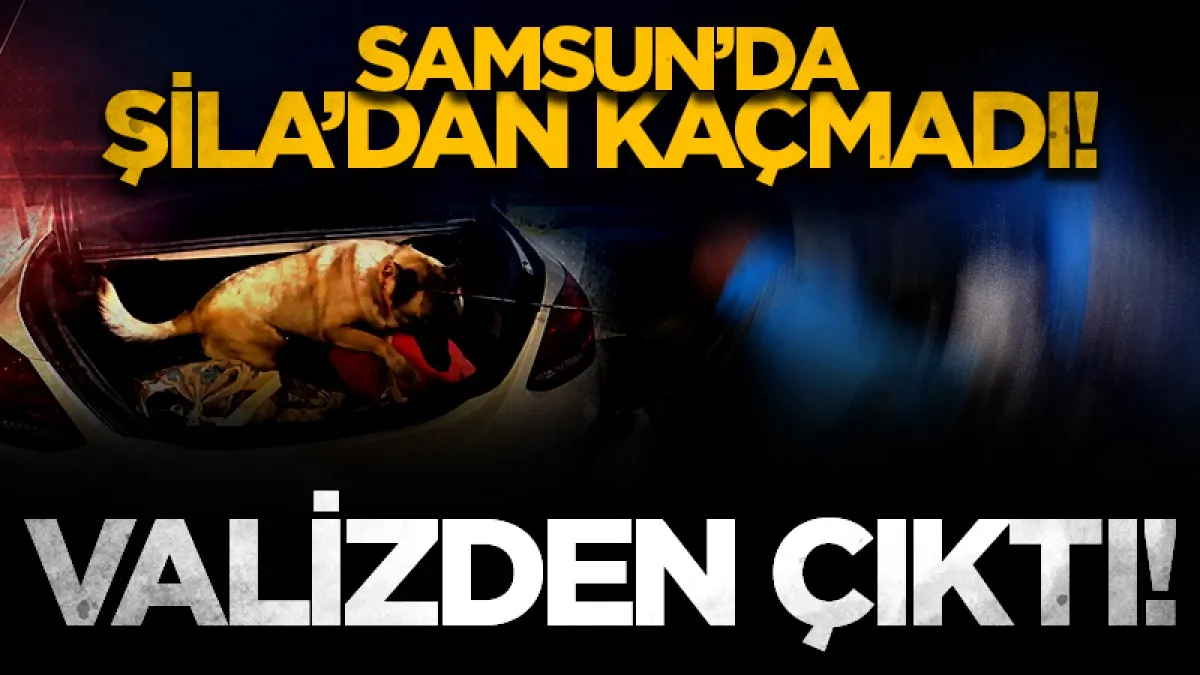 Samsun'da narkotik köpeği Şila valizdeki 1 kilo 900 gram metamfetamini buldu