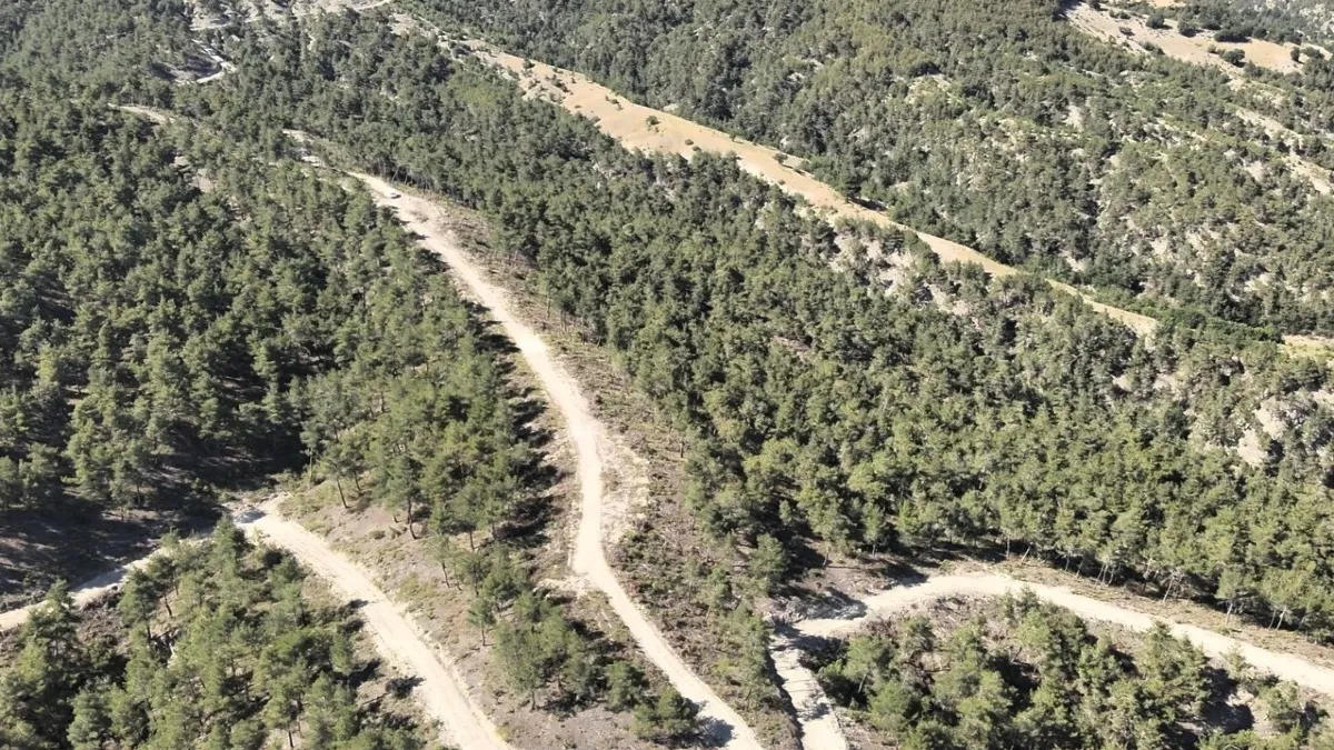 Samsun’da orman köylülerine 1 milyar TL destek