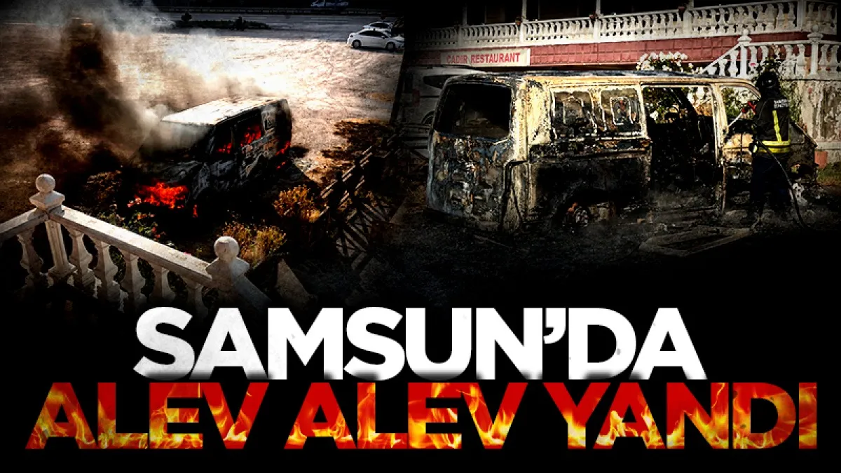 Samsun'da park halindeki panelvan alevlere teslim oldu