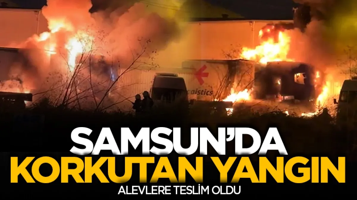 Samsun'da park halindeki tır alevlere teslim oldu