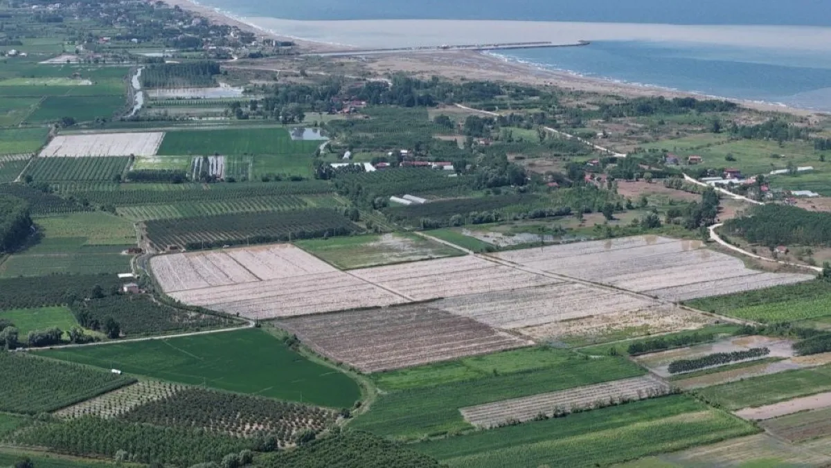 Samsun’da sağanak tarım alanlarını vurdu! 30 mahalle etkilendi