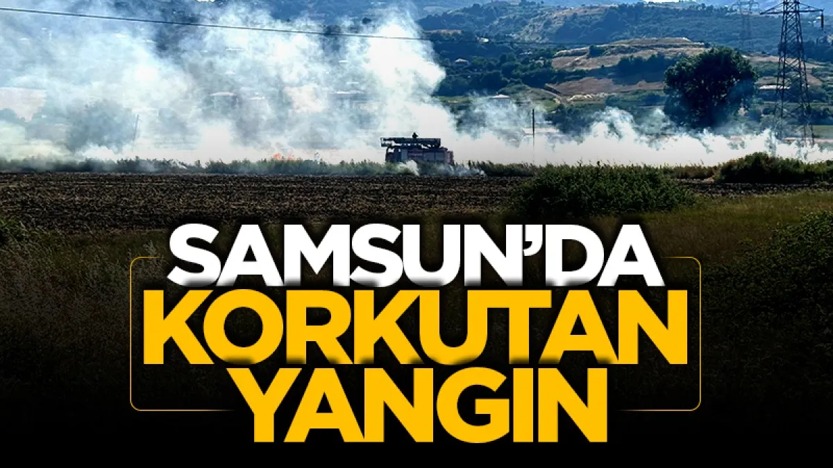 Samsun'da samanlık alanda çıkan yangın söndürüldü