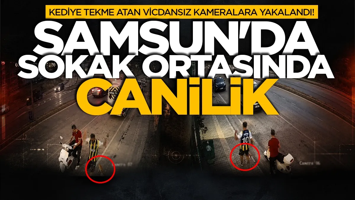 Samsun'da sokak ortasında kediye tekme atan vicdansız kameralara yakalandı!