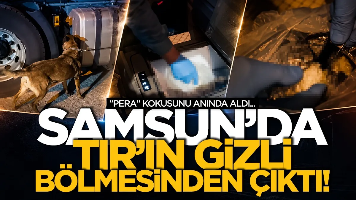 Samsun'da TIR'ın gizli bölmesinden çıktı! "Pera" kokusunu anında aldı